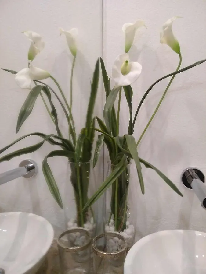 Sueños de la Judería CPlace Ecológico Apartamento Córdoba España