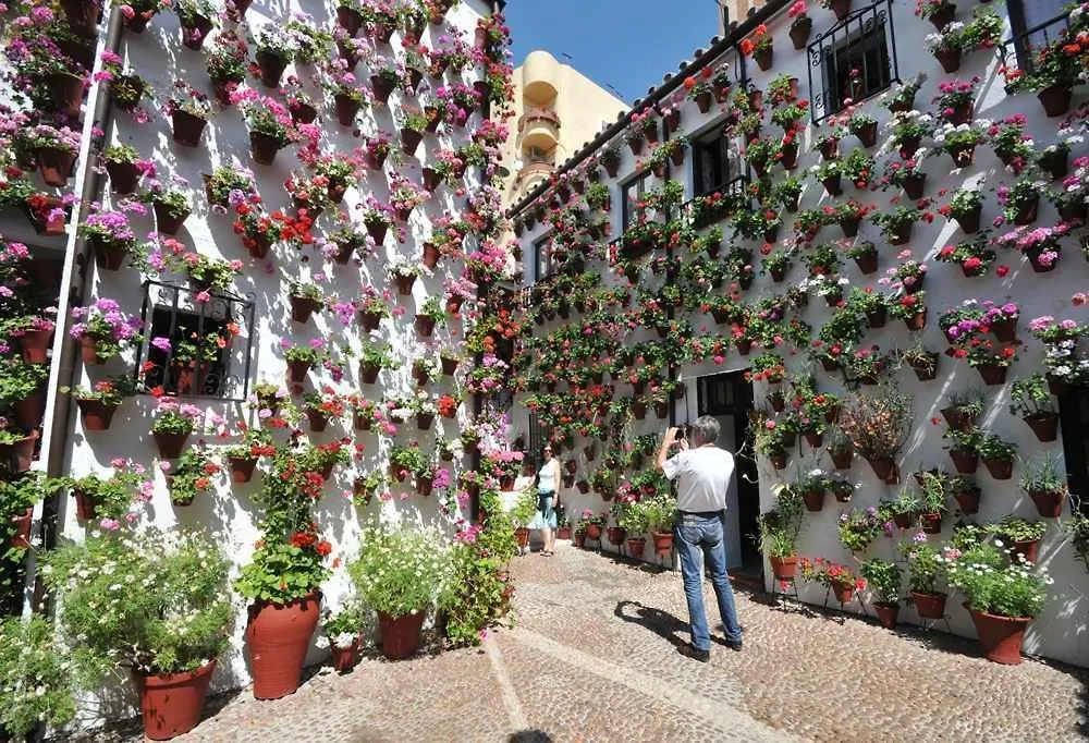 Sueños de la Judería CPlace Ecológico Apartamento Córdoba España