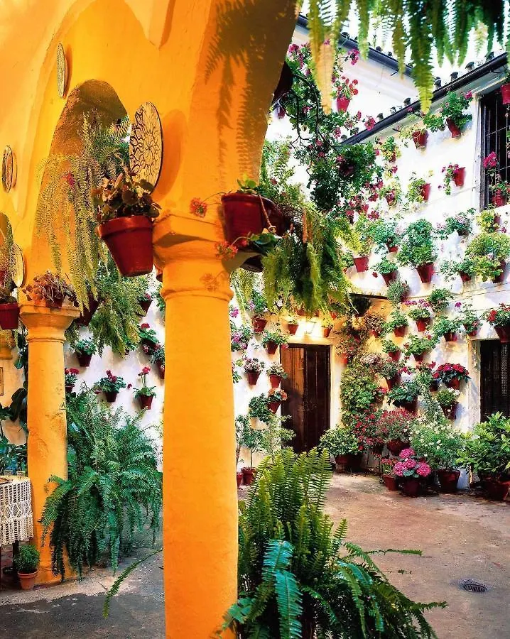 Suenos De La Juderia Cplace Ecologico Apartment Cordoba